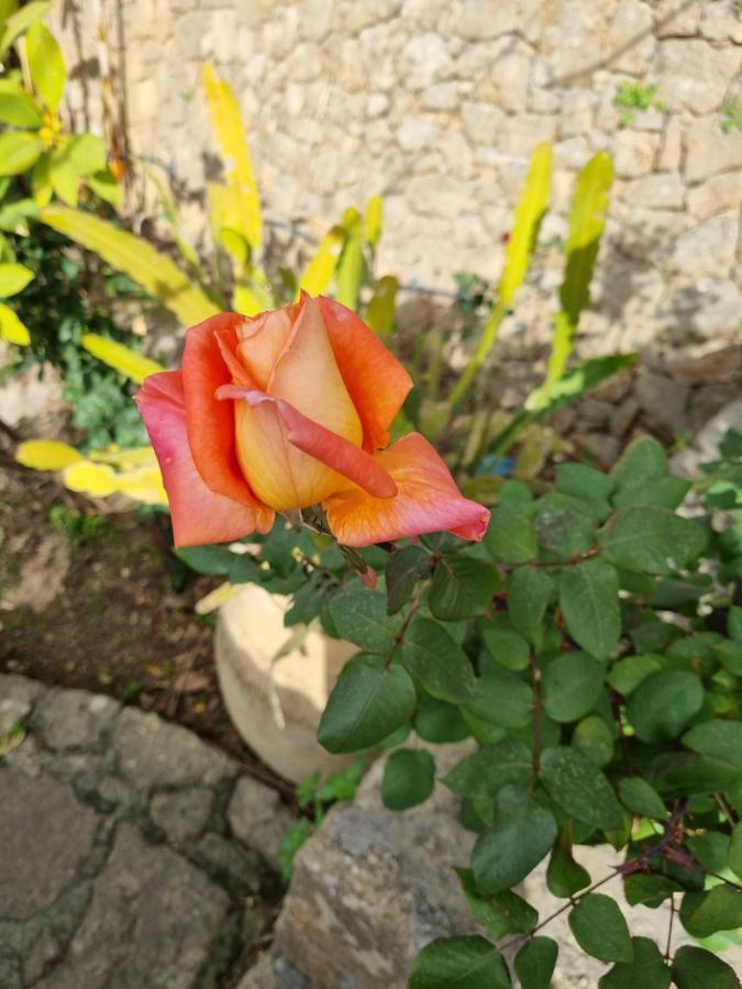 Villa Sul Molo Tra Siracusa E Catania Аугуста Екстериор снимка